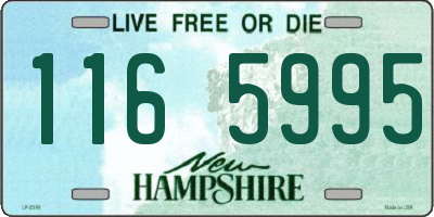 NH license plate 1165995