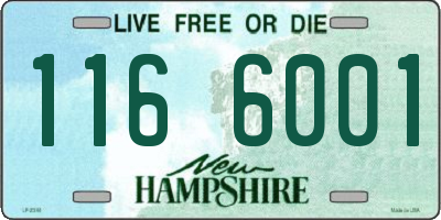 NH license plate 1166001