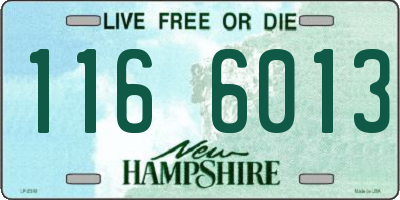 NH license plate 1166013