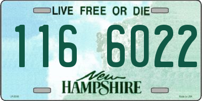 NH license plate 1166022