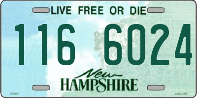 NH license plate 1166024