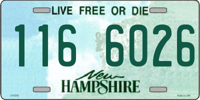 NH license plate 1166026