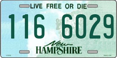 NH license plate 1166029