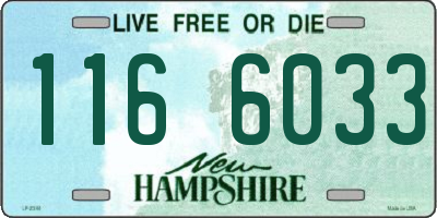 NH license plate 1166033