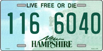 NH license plate 1166040