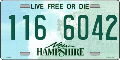 NH license plate 1166042