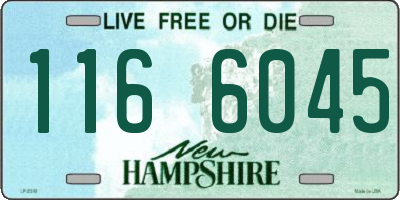 NH license plate 1166045