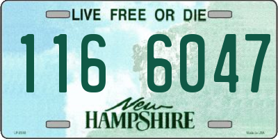 NH license plate 1166047