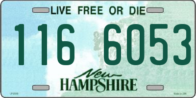 NH license plate 1166053