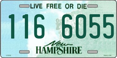 NH license plate 1166055