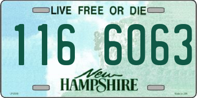 NH license plate 1166063