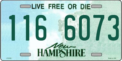 NH license plate 1166073