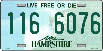 NH license plate 1166076