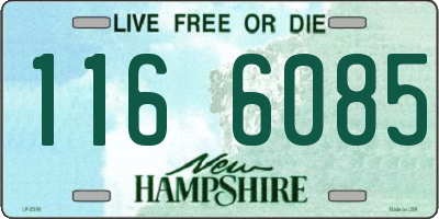 NH license plate 1166085