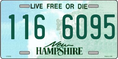 NH license plate 1166095