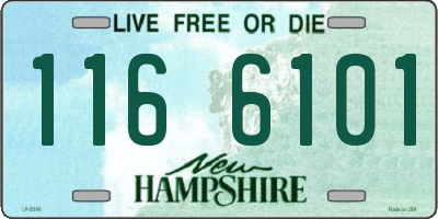 NH license plate 1166101