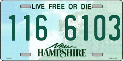 NH license plate 1166103