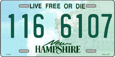 NH license plate 1166107