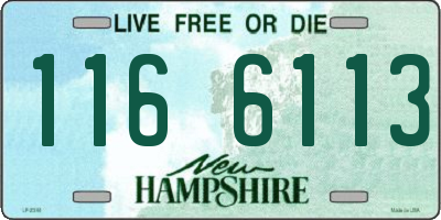 NH license plate 1166113