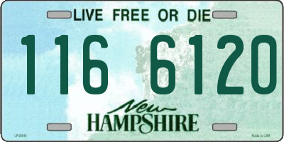 NH license plate 1166120