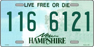 NH license plate 1166121