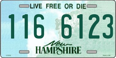 NH license plate 1166123