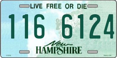 NH license plate 1166124