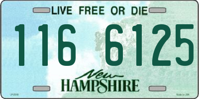 NH license plate 1166125