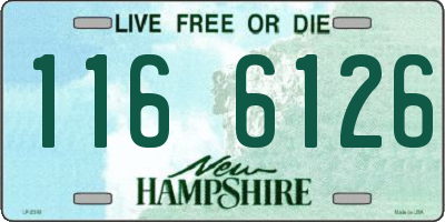 NH license plate 1166126