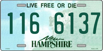 NH license plate 1166137