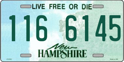 NH license plate 1166145