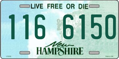 NH license plate 1166150