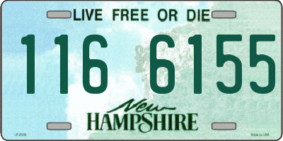 NH license plate 1166155