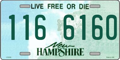 NH license plate 1166160