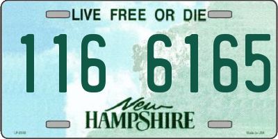 NH license plate 1166165