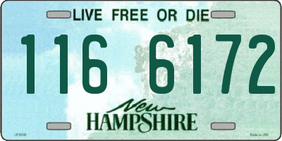 NH license plate 1166172