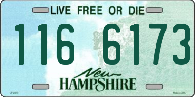 NH license plate 1166173