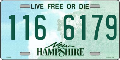 NH license plate 1166179