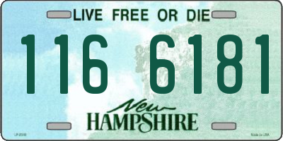 NH license plate 1166181