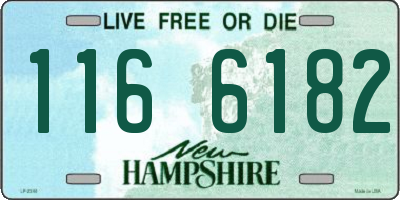 NH license plate 1166182