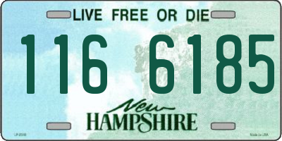 NH license plate 1166185