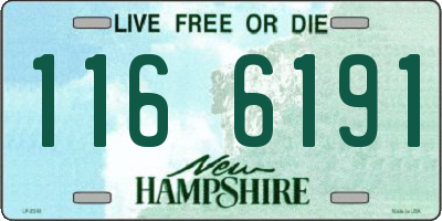 NH license plate 1166191