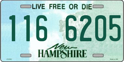 NH license plate 1166205