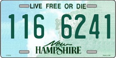 NH license plate 1166241