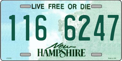 NH license plate 1166247