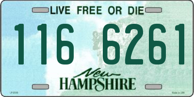 NH license plate 1166261