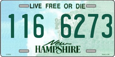 NH license plate 1166273