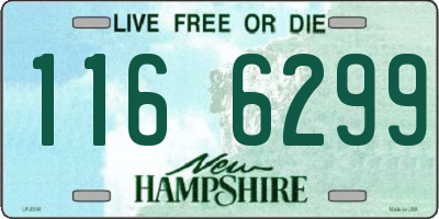 NH license plate 1166299