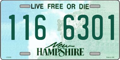 NH license plate 1166301