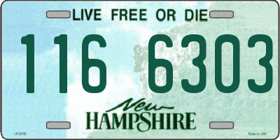 NH license plate 1166303